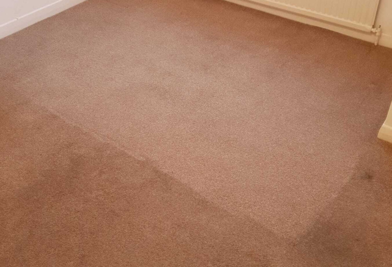 Carpet Cleaning Service